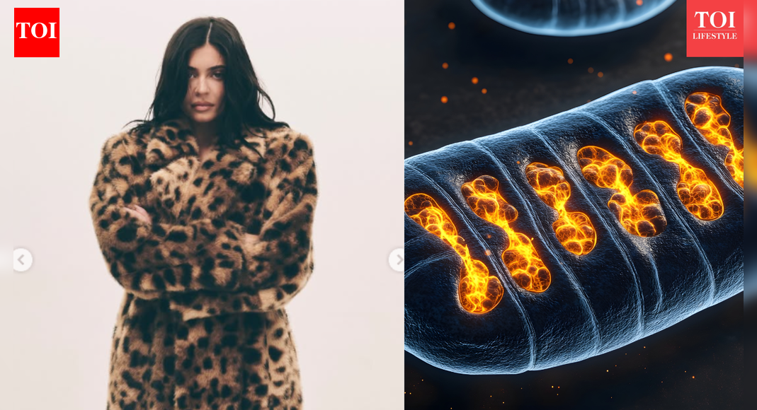 काइली जेनर की स्टेम सेल थेरेपी: अभिनेता ने साझा किया कि कैसे इसने गर्भावस्था के बाद उनके पुराने पीठ दर्द में मदद की