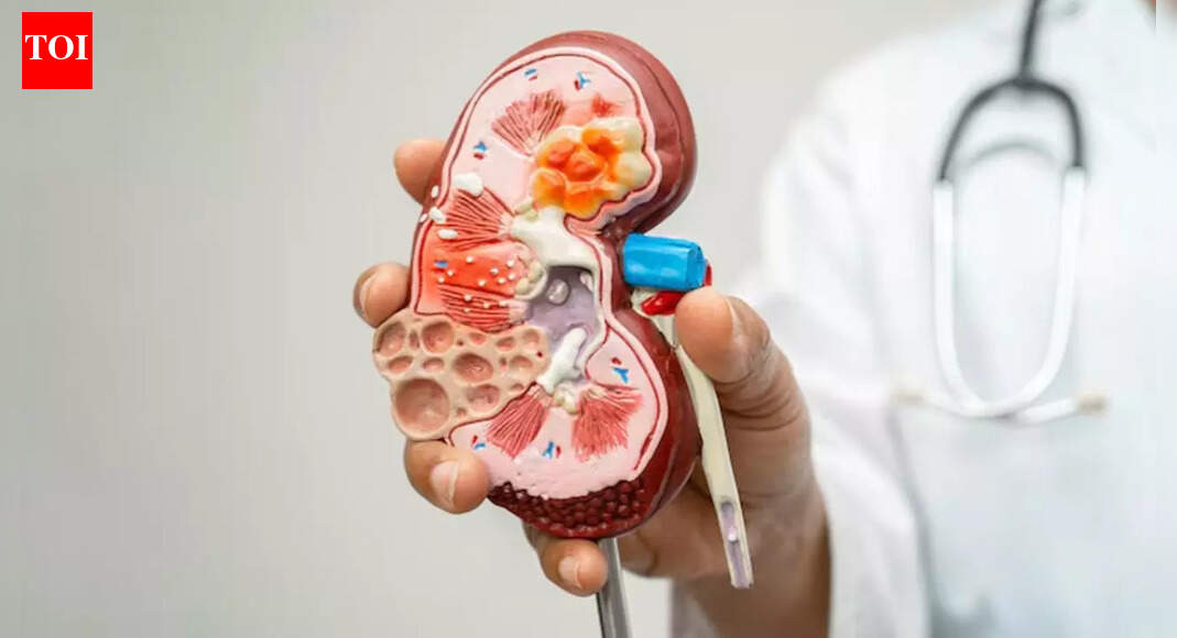 Kidney health: Common constipation drug shows promise in protecting kidneys from decline