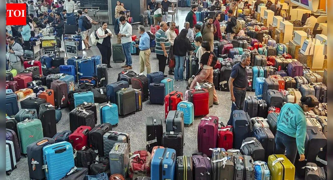 IndiGone: What We Learnt