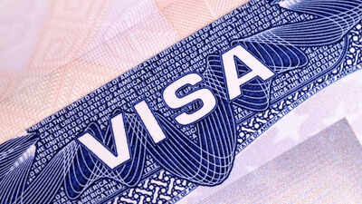 Expect massive visa backlogs: Ex-USCIS official's warning as Trump orders review of Green Cards