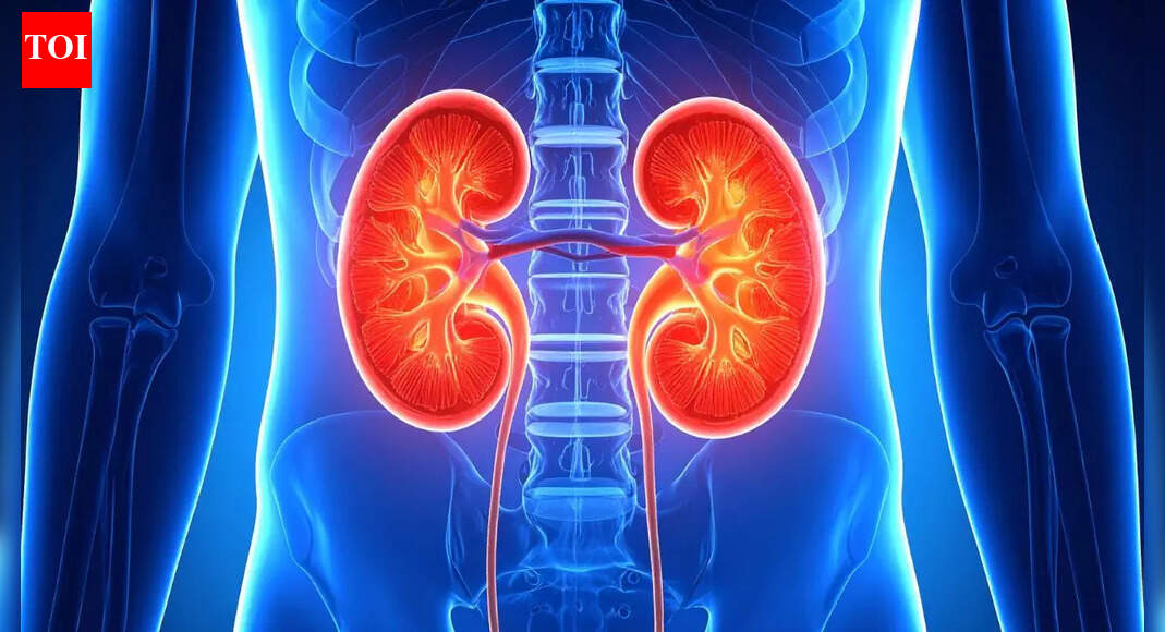 Reverse kidney damage: A breakthrough treatment that may transform kidney treatment
