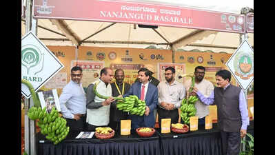 Four-day mahotsav showcases GI-tagged products