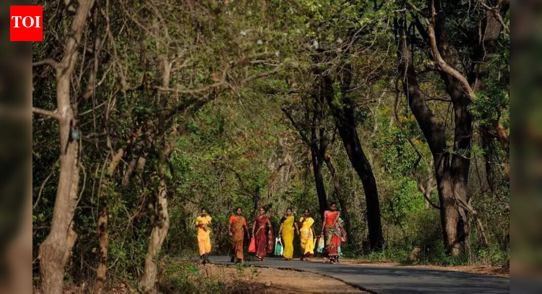 Mumbai: Activist questions govt inaction on Sanjay Gandhi National Park encroachments