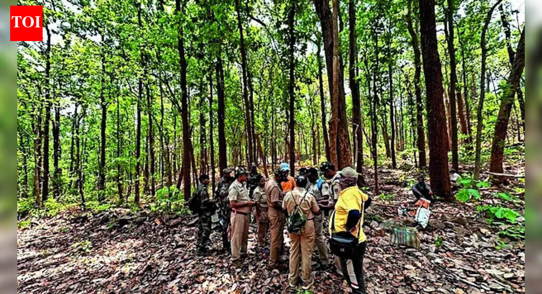 After 10-yr chase, wildlife sleuths nab the ‘ghost’