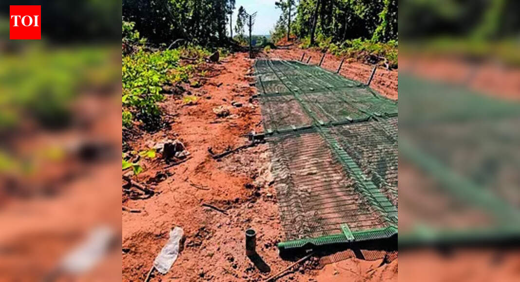 150m Myanmar border fence cut in Manipur