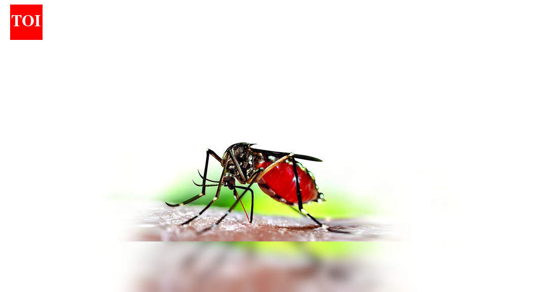 India nears target but still bears 73% of South Asia’s malaria burden: WHO