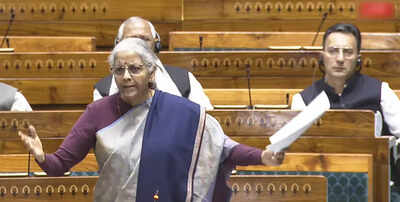 Pan masala cess gets Lok Sabha nod in boost to defence priorities