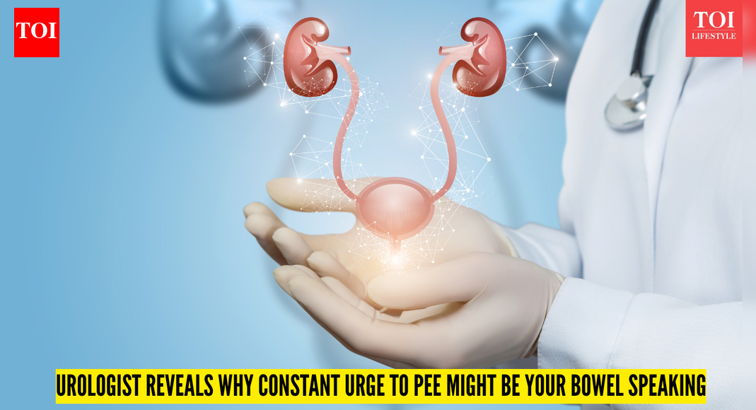 Urologist reveals why your constant urge to pee may actually be a hidden bowel problem