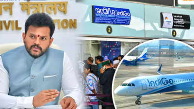 IndiGo faces fewer flight cancellations | Goa News - The Times of India