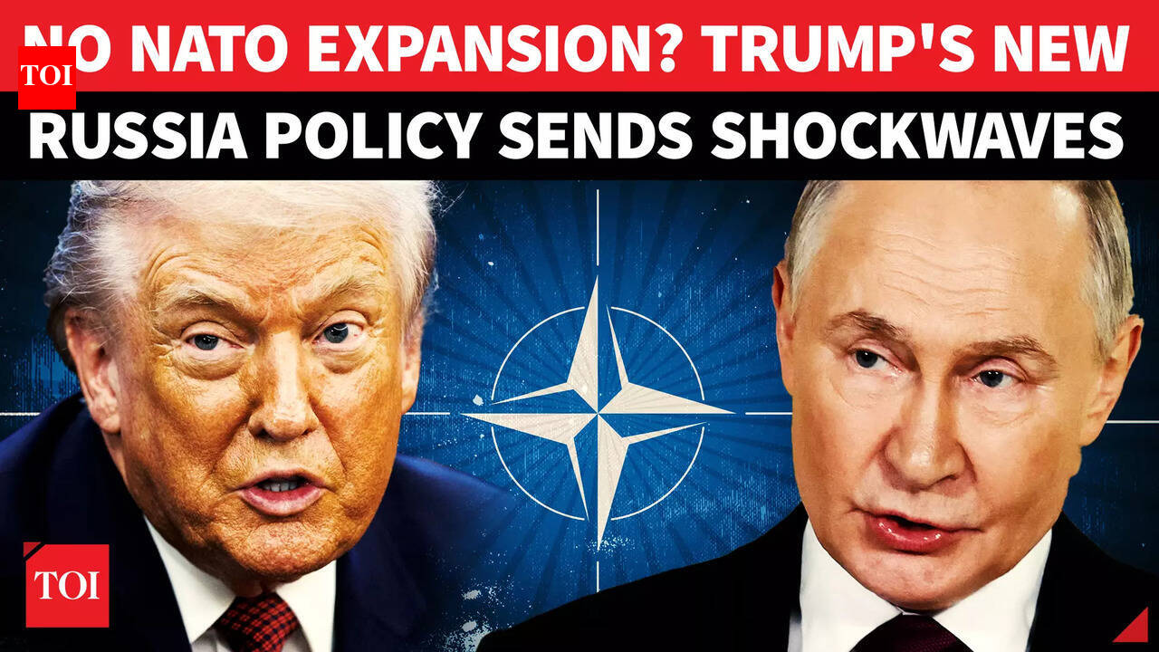 NATO FULL STOP? Putin 'Wins' As Trump Signals Major Reset With Russia ...