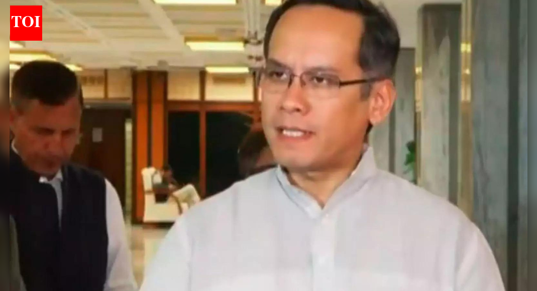 <div>Gaurav Gogoi seeks MEA probe into alleged foul play in Zubeen Garg's death at Singapore Festival</div>