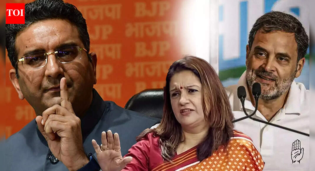 Putin Dinner Snub Triggers War of Word: Priyanka Chaturvedi Slams 'Petty' Politics, BJP Blasts Rahul