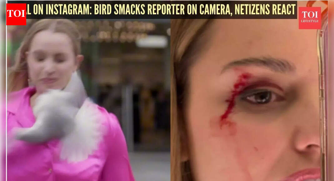 Viral on Instagram: Bird smacks New Zealand reporter on camera, sends netizens into frenzy