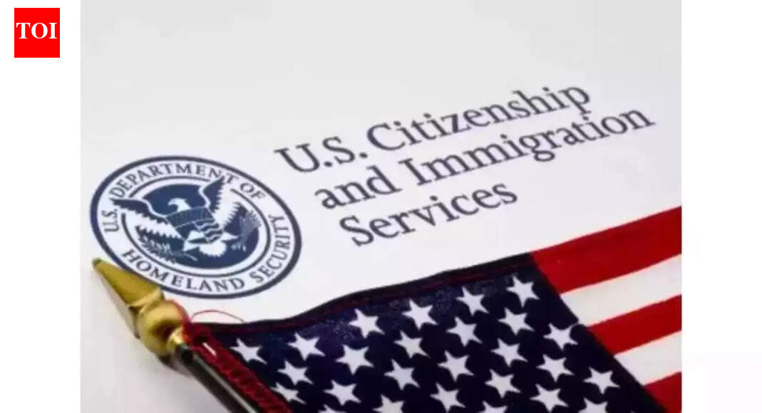 <div>'Can't stop that if one becomes radicalized later': USCIS reveals how revetting of nationals from 19 countries will be done</div>