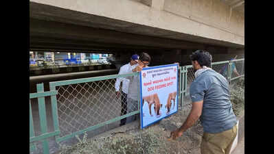 Designated feeding zones to check stray dog menace