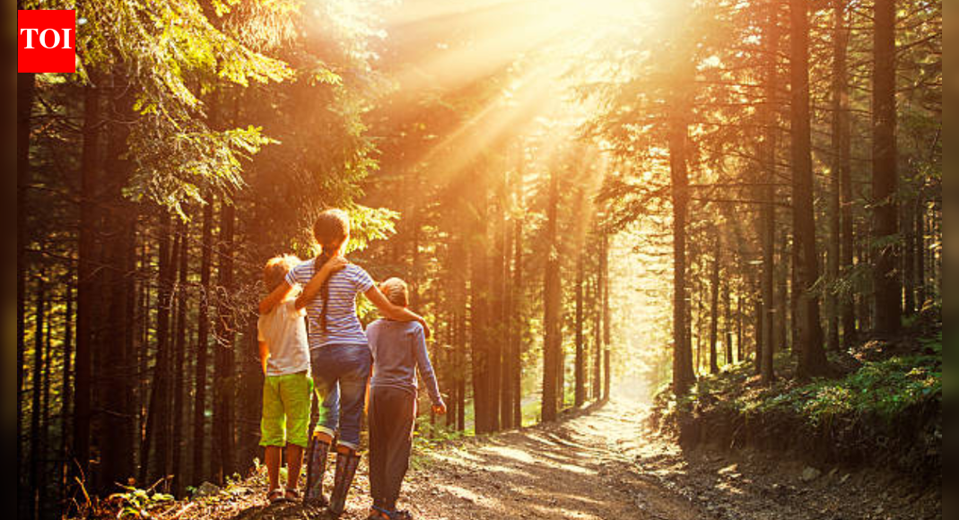 Curiosity Corner: If the Sun gives us light, who gives the Sun light?