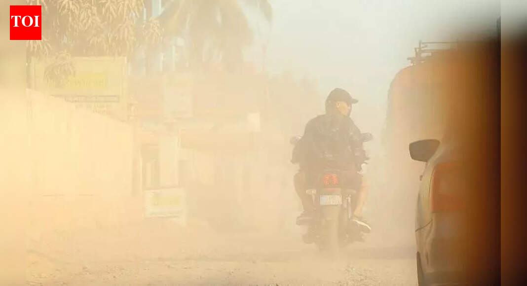 Air pollution may harm kids well into adulthood: Experts