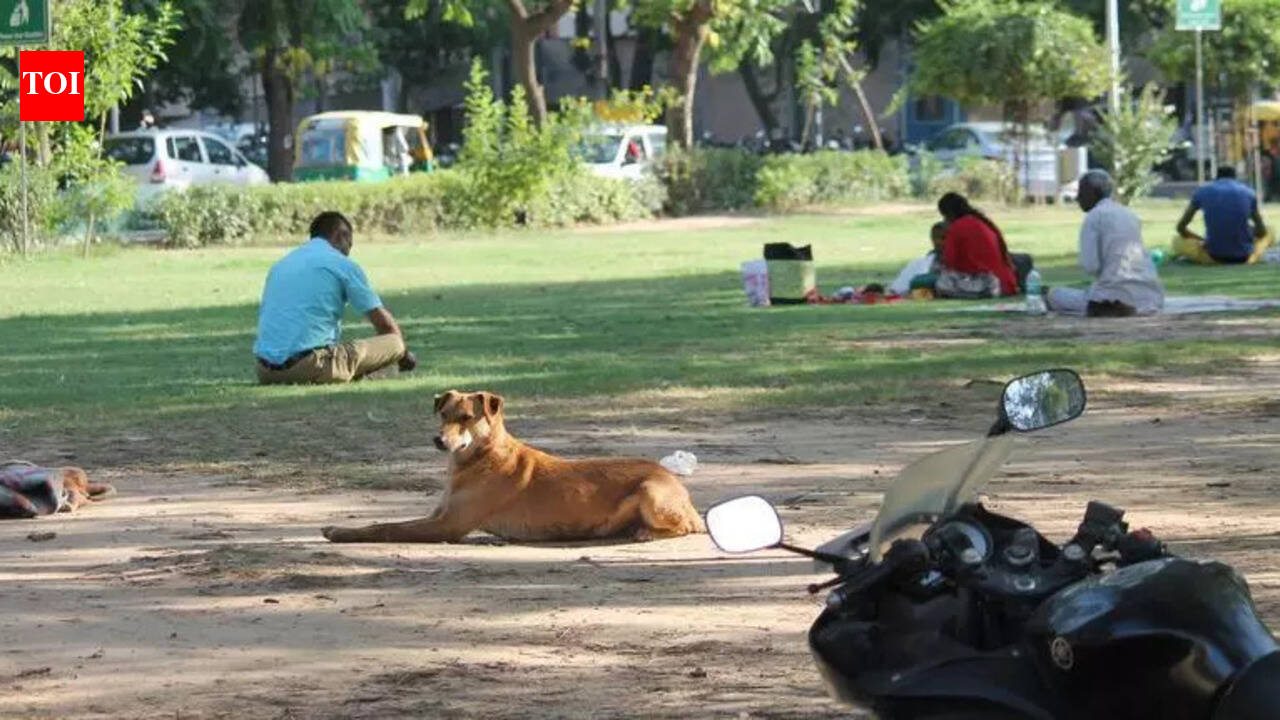 MC earmarks 1.7 acres for city’s first dog shelter in Sector 25