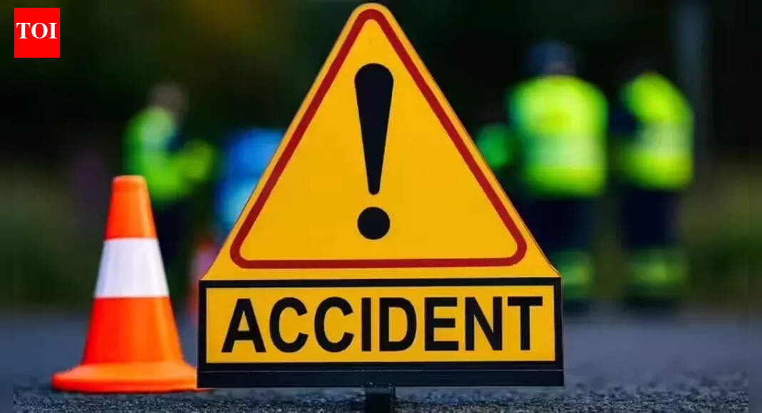 Cheetah cub run over by speeding car on National Highway in Gwalior