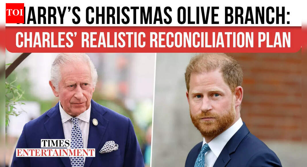 Prince Harry Might Reconcile With King Charles This Christmas, Specialists Say Olive Department Sensible