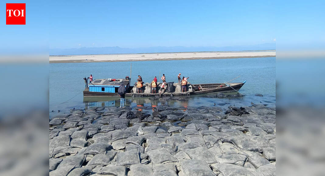 Dibrugarh water resources dept deploys geo bags, porcupine structures to combat Brahmaputra erosion