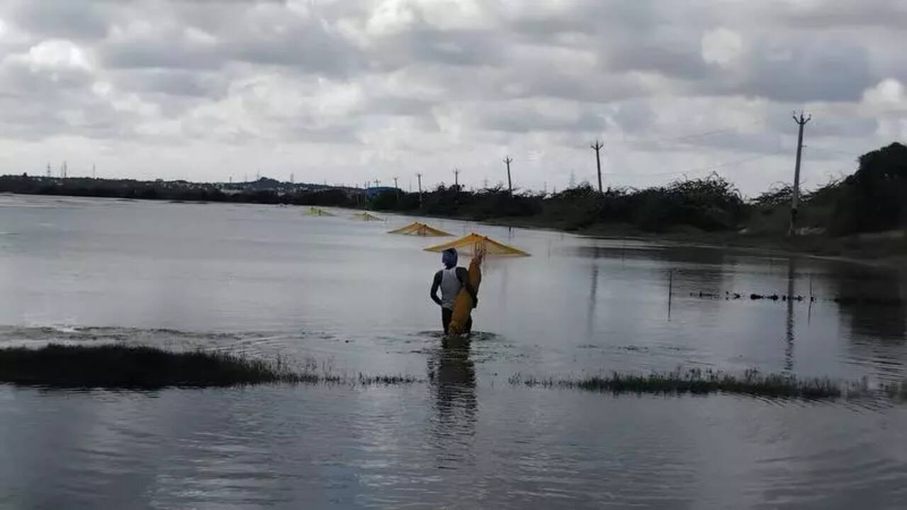 CRZ nod for 6th reservoir at Kovalam to supply water to city | Chennai News - The Times of India