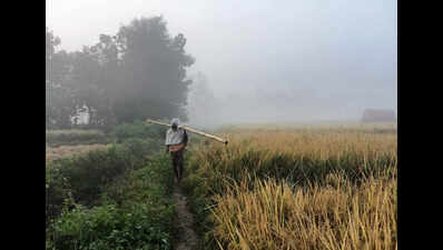 Severe cold grips districts, G Udayagiri shivers at 4.4ºC