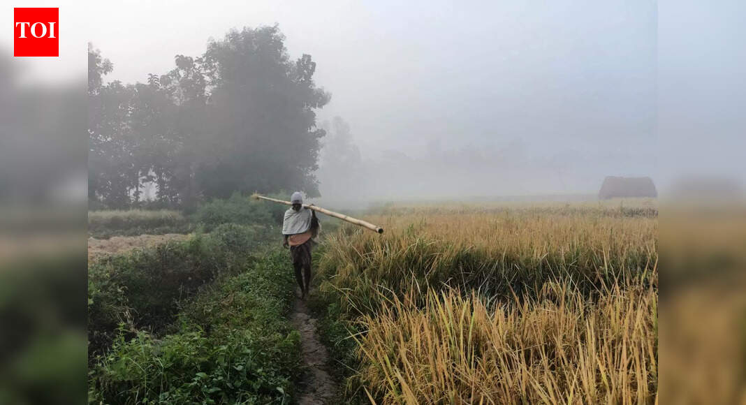 Severe cold grips districts, G Udayagiri shivers at 4.4ºC
