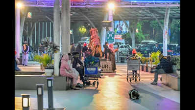 50 IndiGo cancellations in Pune on Sunday