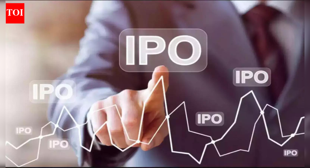Snapdeal parent files updated IPO papers