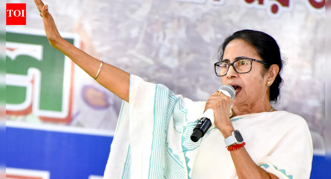 'This is a disaster': Mamata Banerjee targets BJP over IndiGo fiasco; cites passenger agony