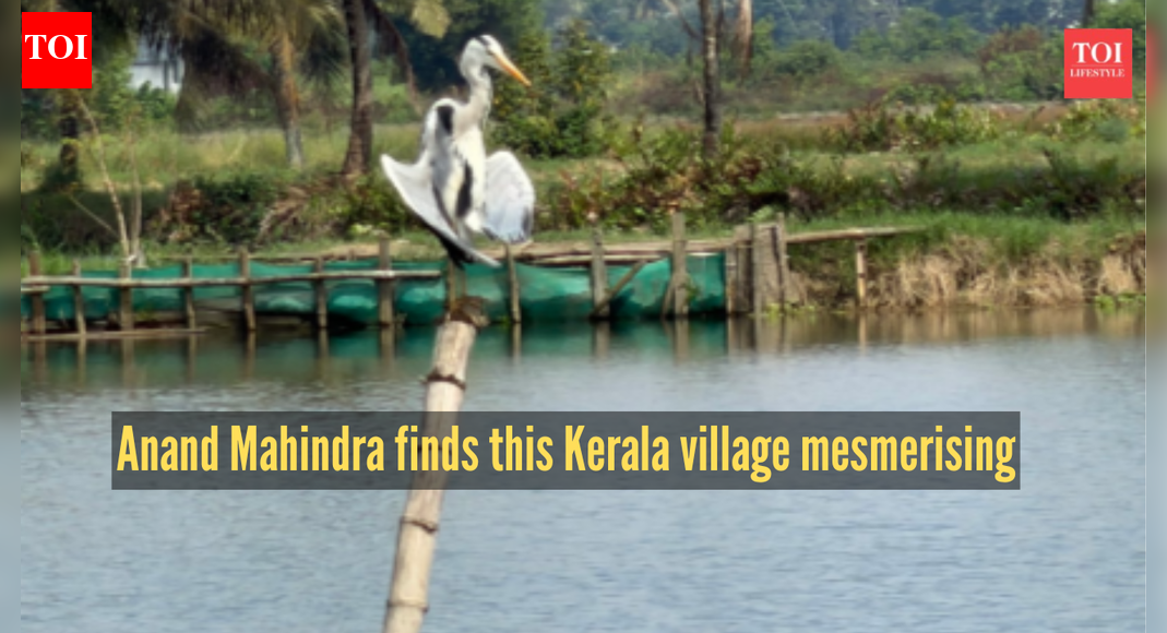 Anand Mahindra keeps his promise, visits the 'most beautiful' village in Kerala, and calls it’s ‘mesmerising’