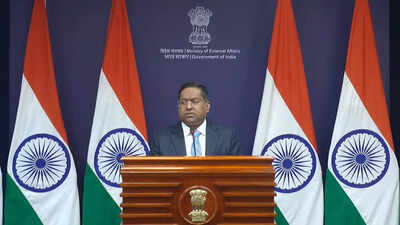 'Assure Indians will not be selectively targeted': MEA's strong message to China; issues travel advice