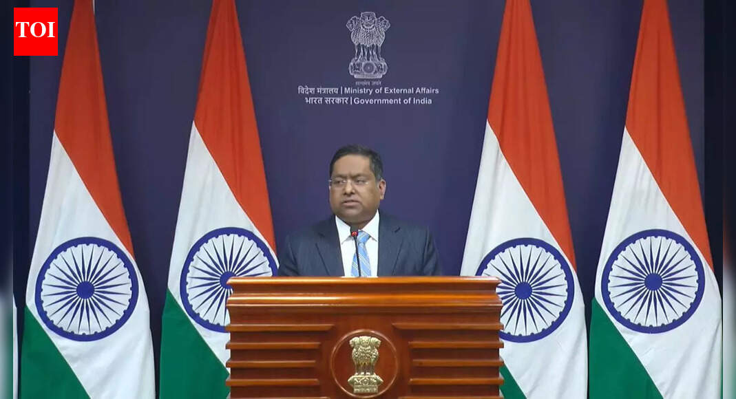 <div>'Assure Indians will not be selectively targeted': MEA's strong message to China; issues travel advice</div>