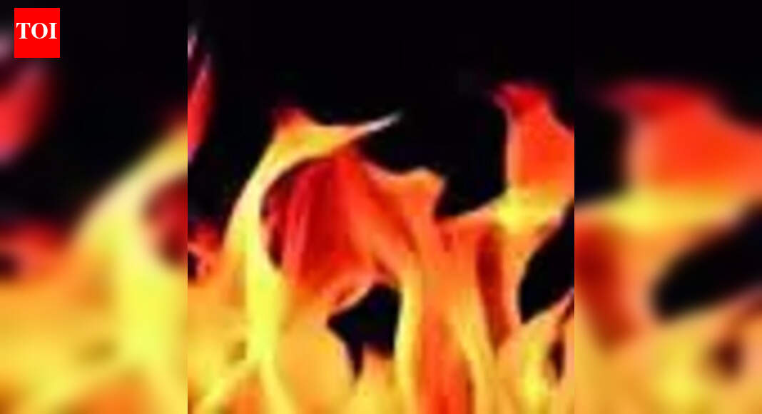 Odisha teen who set her ablaze over ‘harassment’, dies