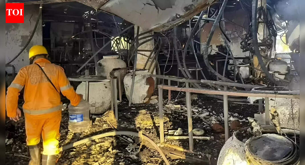 Goa nightclub fire: Owners flew out to Phuket within hours of blaze; 'intent to evade probe'