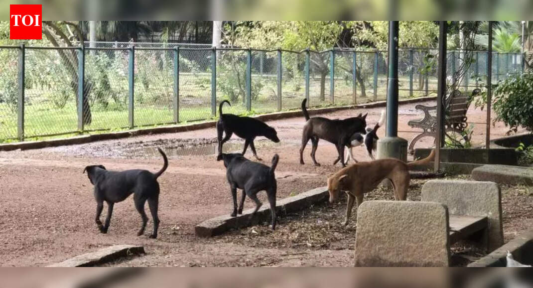 Activists claim Greater Bengaluru Authority has shifted 200-odd stray dogs to animal birth control centre