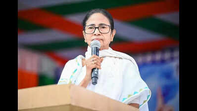 BJP MP slams Bengal govt over Murshidabad structure