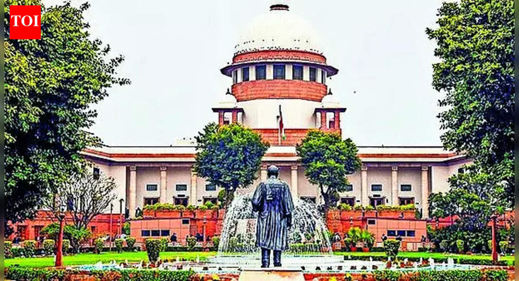 SC grants interim bail to TSPC commander