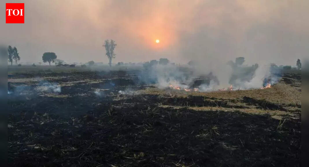 Smoke Without Fire? Dip In Stubble Burning Cases Doesn’t Tell Full Story | Delhi News