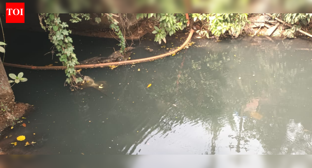 Bethora Residents Alarmed by Chemical Pollution from Nearby Factories ...