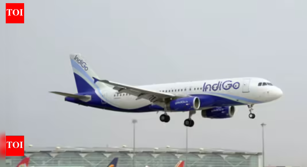 Govt may give 5% of IndiGo flight share to other airlines