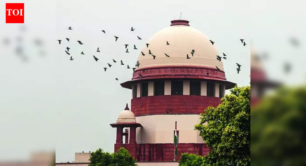 Can't hear out holders before declaring a/cs fraud: RBI, SBI