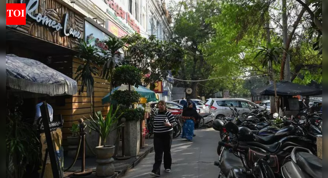 'Gold medallist engineer': How Goa tragedy eclipsed Luthra brother' success; now absconding