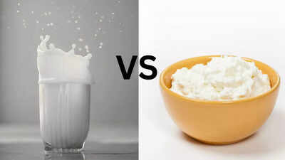 दूध से भी ज्यादा ताकतवर? शोधकर्ता हड्डियों के स्वास्थ्य के लिए एक अप्रत्याशित भोजन की ओर इशारा करते हैं