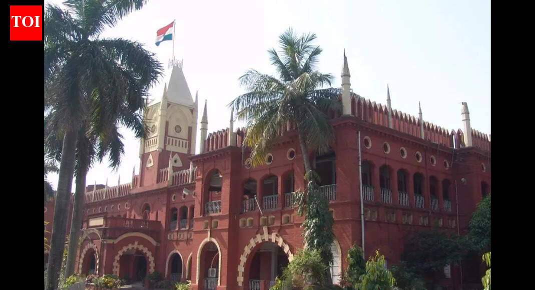 Odia literacy mandatory for sarpanch post: Orissa high court upholds disqualification