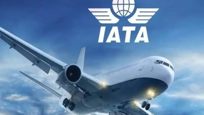 चौंकाने वाला आँकड़ा: IATA प्रमुख का कहना है कि एयरलाइंस अगले साल प्रति यात्री केवल $7.90 कमाएंगी - जो कि Apple के iPhone कवर पर मिलने वाली कमाई से भी कम है।