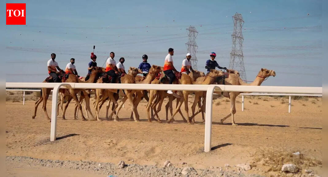 ILT20 meets UAE heritage: Gulf Giants players try their hand at camel racing