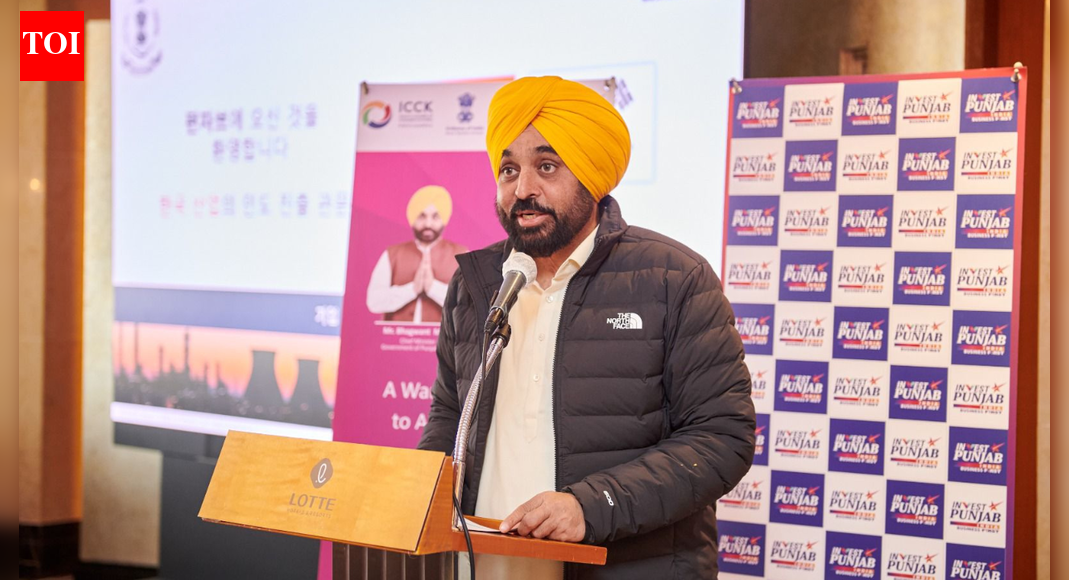 मान ने दक्षिण कोरियाई उद्योगपतियों से मुलाकात की, पंजाब को भविष्य के लिए तैयार निवेश गंतव्य के रूप में पेश किया | भारत समाचार