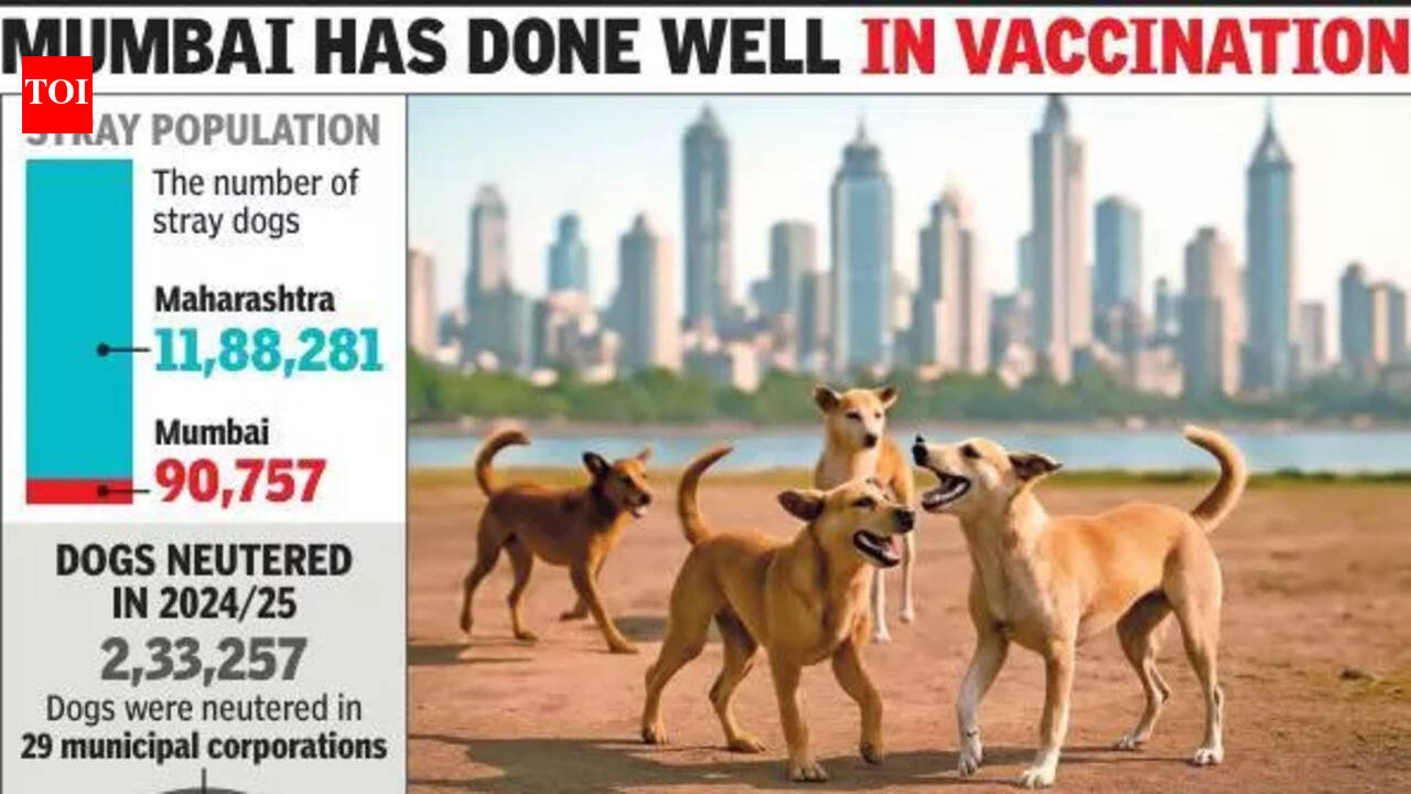 Maharashtra has 12L stray dogs, Mumbai 90k, DCM Shinde tells house